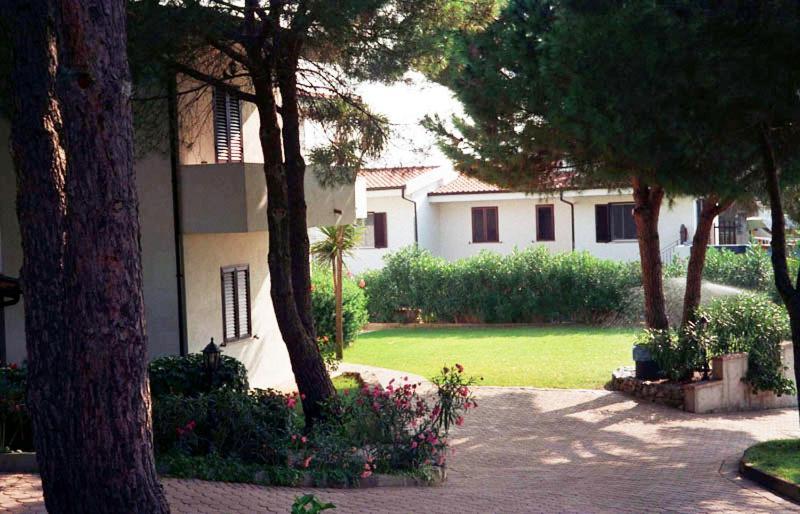 Villaggio Pineta Petto Bianco Capo Vaticano Exterior foto