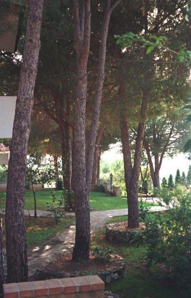 Villaggio Pineta Petto Bianco Capo Vaticano Exterior foto
